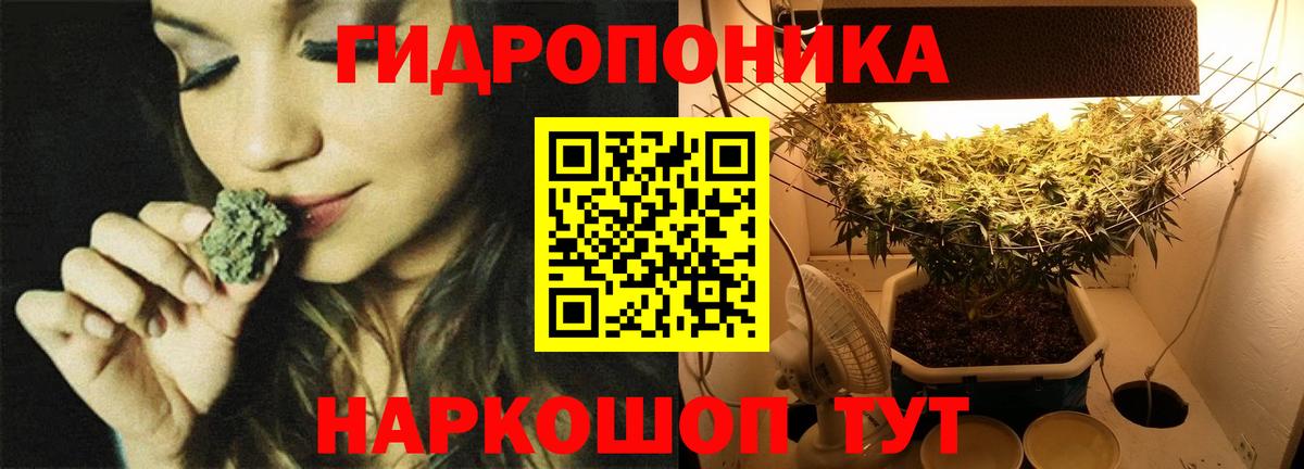 Щёлково  Конопля Bruce Banner  Конопля ГИДРОПОН  Канабис марихуана  Вход с VPN  Бошки Шишки Amnesia 