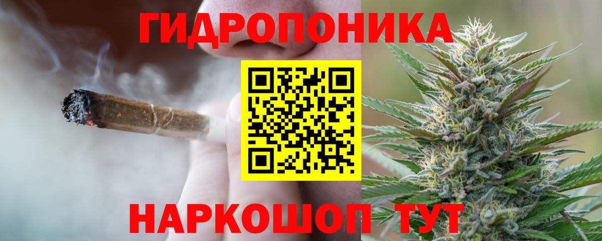 Каннабис планчик Щёлково